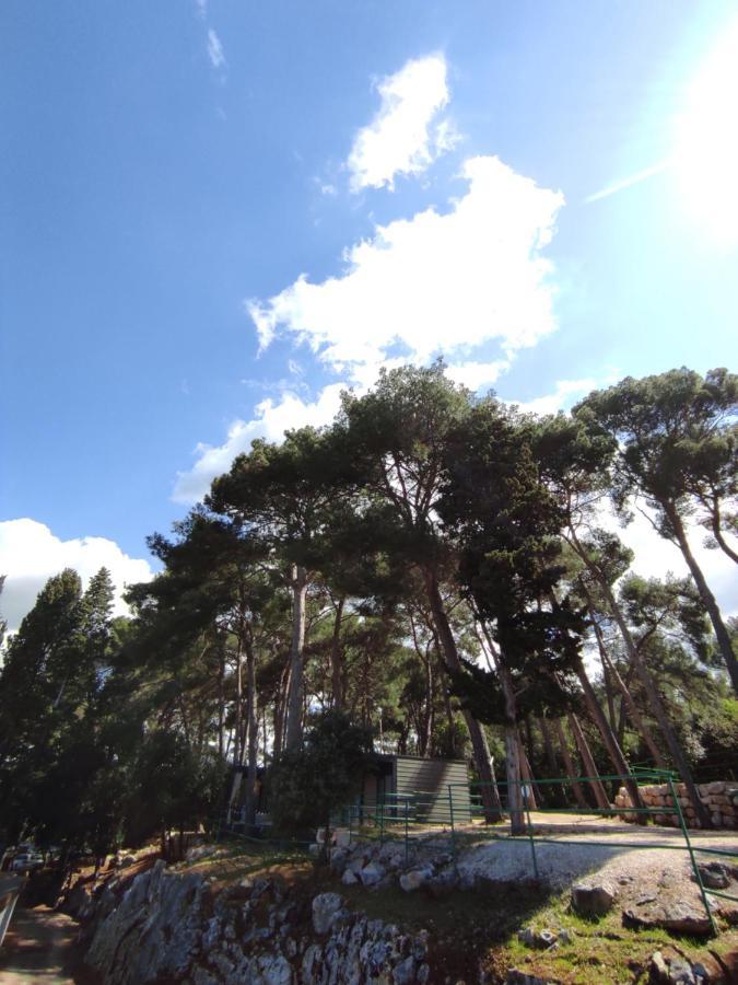 Mobile Home More Porton Nature Hideouts Rovinj Ngoại thất bức ảnh